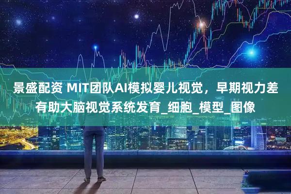 景盛配资 MIT团队AI模拟婴儿视觉，早期视力差有助大脑视觉系统发育_细胞_模型_图像