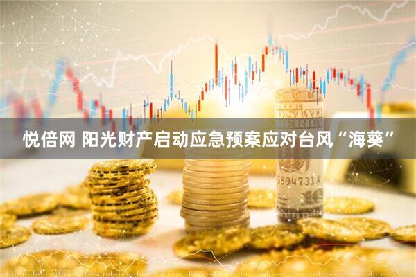 悦倍网 阳光财产启动应急预案应对台风“海葵”