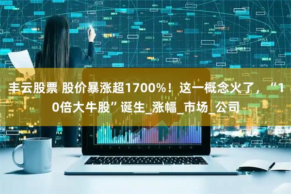 丰云股票 股价暴涨超1700%！这一概念火了，“10倍大牛股”诞生_涨幅_市场_公司